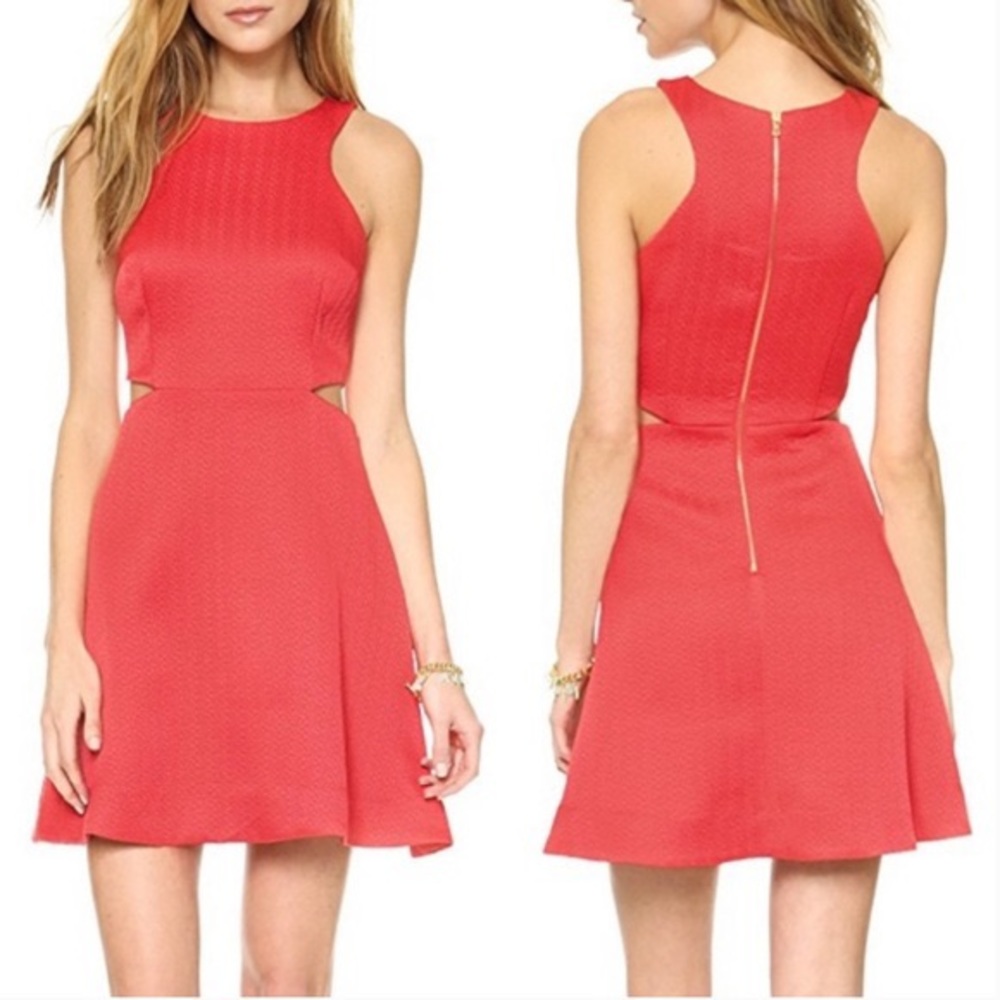 Club Monaco Cut-Out Dress